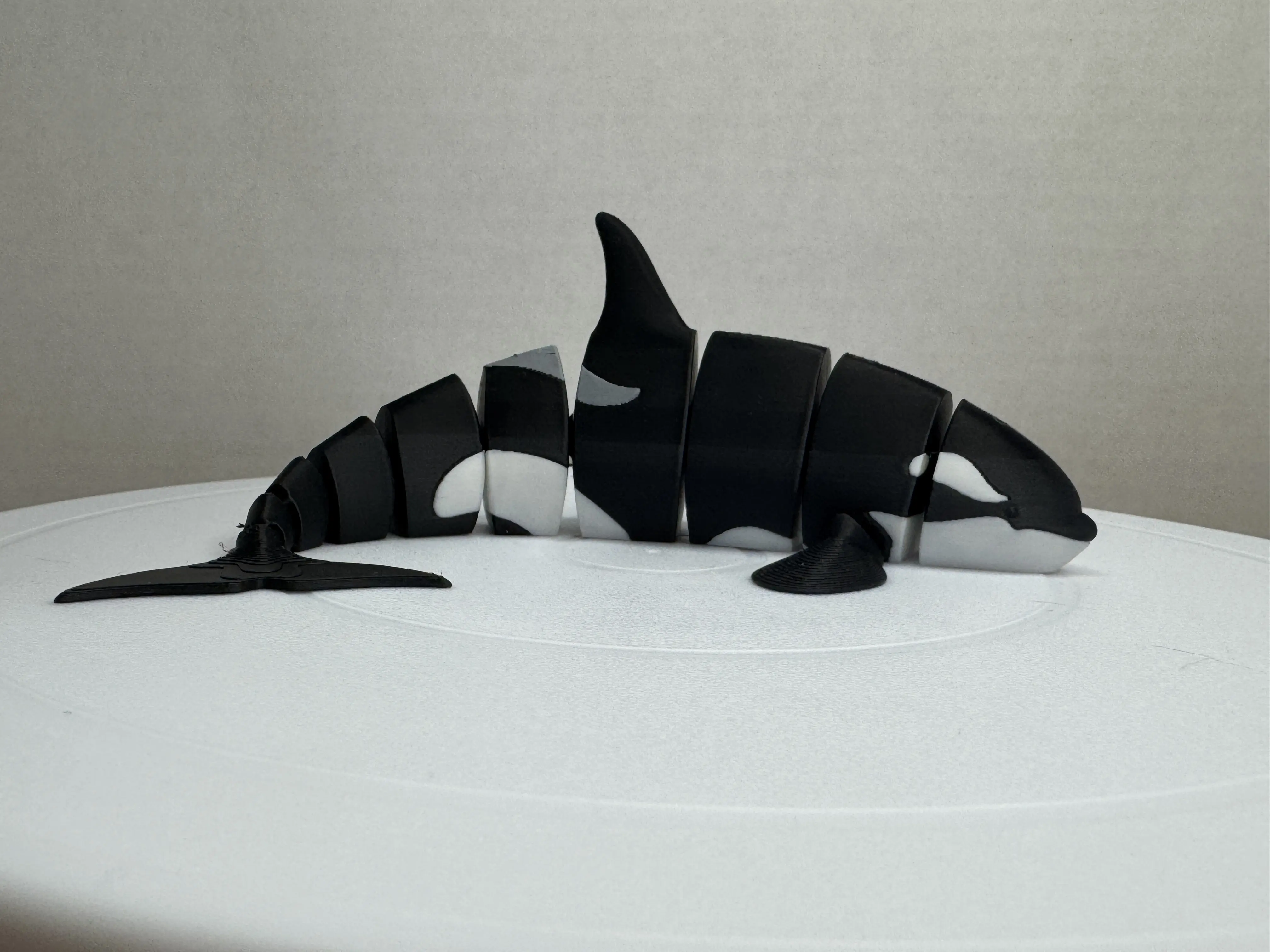 Articulated Orca Figurine – 3D Printed Killer Whale | Desk Toy & Gift