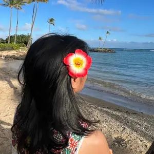 Orange Hibiscus Flower Hair Clip