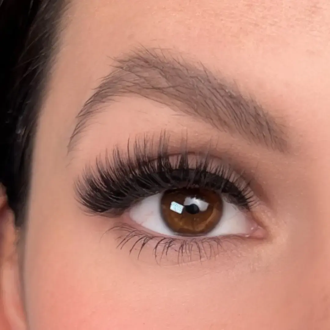 Chocolate Mega Volumen False Lashes false  eyelashes wispy striplashes