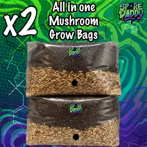 Mushroom Grow Bag | x2 | Manure Substrate/Oats | Spore Daddy