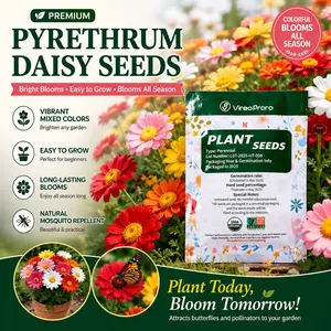 Pyrethrum Daisy Seeds – Natural Insect Repellent Flowers, Pest Control Garden Plants