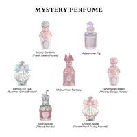 Mystery Scent (1 Perfume)