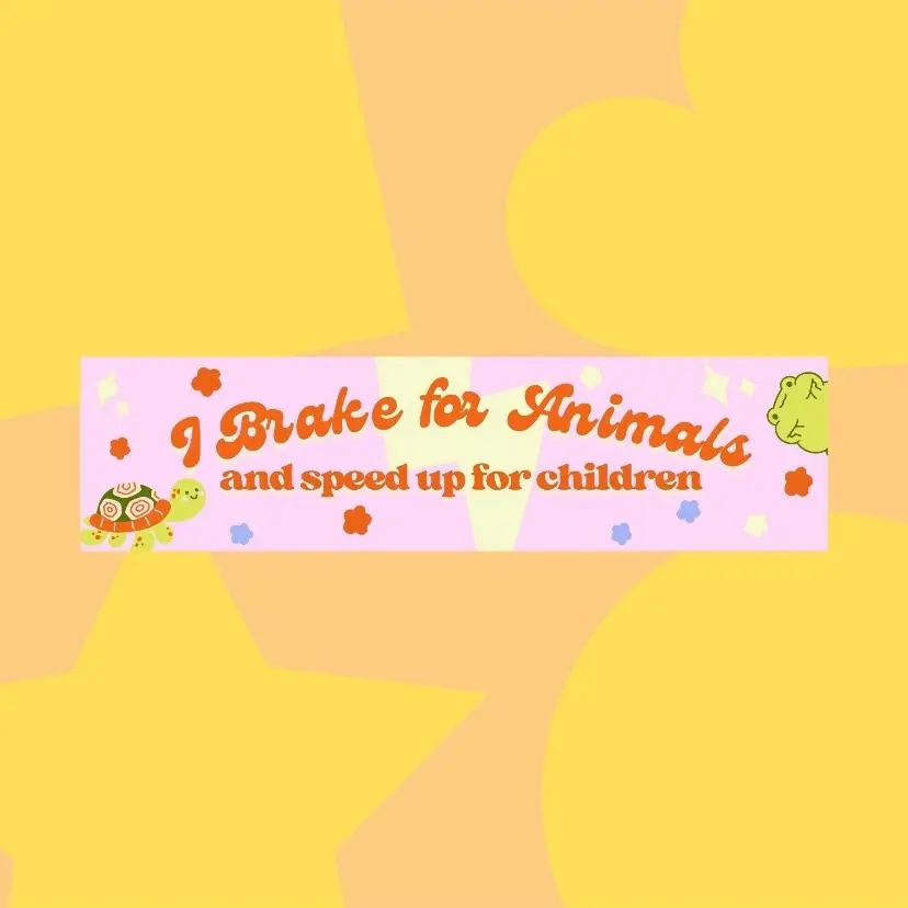 Sarcastic Meme Funny Bumper Sticker Gen Z, Kawaii Frog Sticker Car Accessories for Teens