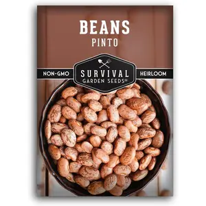 1 Pack Pinto Bean Seeds for Planting with Instructions for Growing Mottled/Peruano Beans in The Home Vegetable Garden - Non-GMO Open-Pollinated Heirloom & Untreated Seed - Survival Garden Seeds