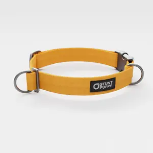 Marigold Monochrome Everyday Collar