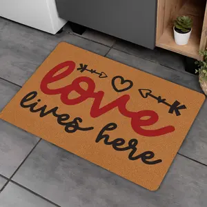 2D Welcome Door Mat, Love Lives Here Non Slip Entrance Door Mat, Rubber Back Stain Resistant Indoor/ Outdoor Floor Mat for Home & Room Decoration, Area Rug Doormat for Entryway Living Dining Room Bedroom Kitchen Porch Yard
