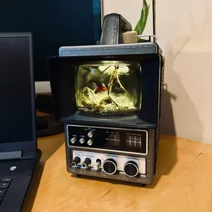 Desktop Radio Fishtank- Perfect for Home and Office