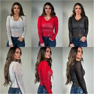 Girls Night Out Mesh Bodysuit(Sheet)