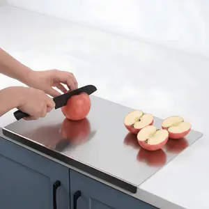 Stainless Steel Cutting Board with Lip Non-Slip Metal Chopping Board for Kitchen Counter & Over Sink Use, Durable Food Prep Board for Meat, Vegetables, Fruits, Bread & Dough, Easy to Clean Kitchen Cutting Surface