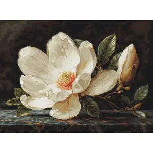 The Magnolia Dew B713L Counted Cross-Stitch Kit
