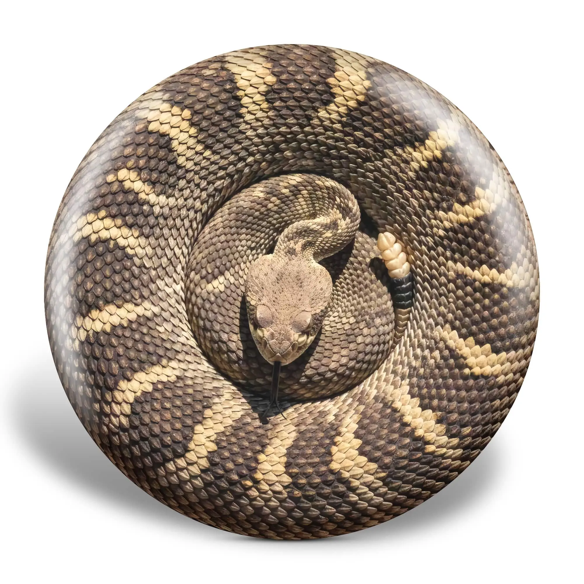 Snake 2.0 Illusion Disc Golf Disc
