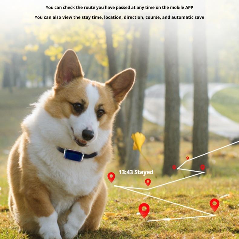 G12 Pet Locator Smart Wear GPS