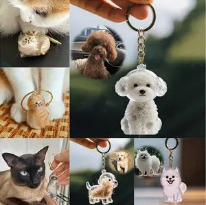 ASMR Pet Hair Keychain - Clear Storage Pendant for Dog & Cat Owners, Portable Memorial Gift for Travel