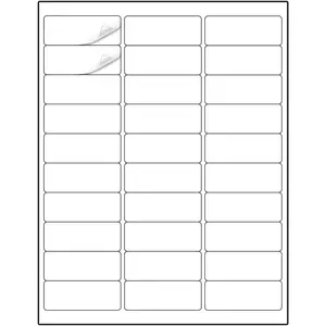 Address Labels, 1" x 2-5/8", 900 Labels, Sticker Paper for Laser/Ink Jet Printer, Mailing Labels, 8.5"×11", White, 30 per Sheet