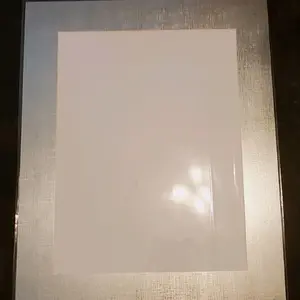 Silver 16×20 Picture Mat for Framing with White Core. Comes with Backing Board & Plastic Sleeve. Use for Framing 12×16 Caricatures, Photos, or Artwork.