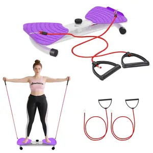 Waist Twister with Resistance Band, 360 °     Anti-slip Abdominal Board, Silent Core Trainer, 250 lbs Load-bearing, Unisex Home Fitness Equipment twist machine capacity home gym equipment foldable ab workout equipment