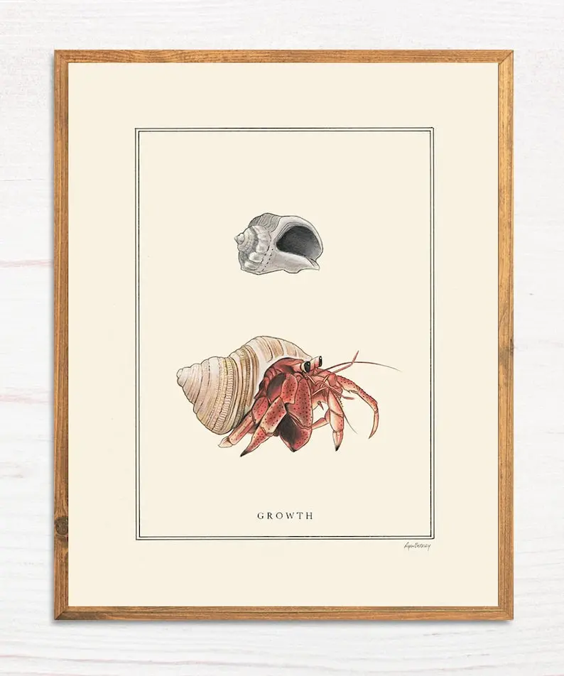 [UNFRAMED POSTER] Natural Values print - Growth - Hermit Crab - Scientific Illustration - Nature Art - Inspirational - Ryan Berkley - Wall Art - Graduation