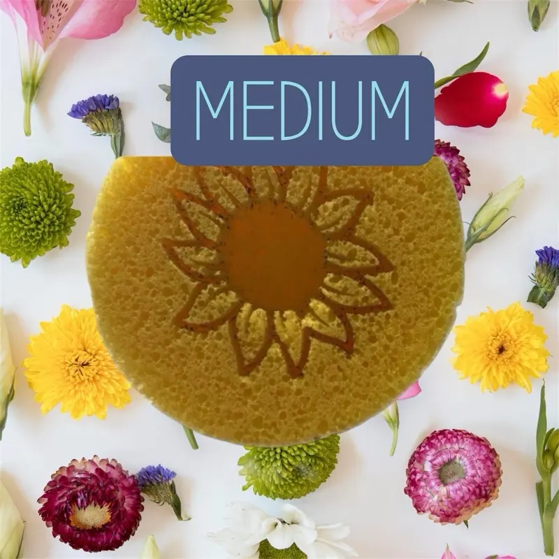 DIY x Large Cheese Soft Sponge  Round by Thick Yellow Sponge for ASMR with Special Customized Patterns Cleaning Pad