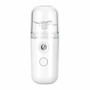 Portable Facial Sprayer, Mini USB Spray Bottle with Visible Water Tank, Convenient for Travel, Skincare, Makeup Assistance