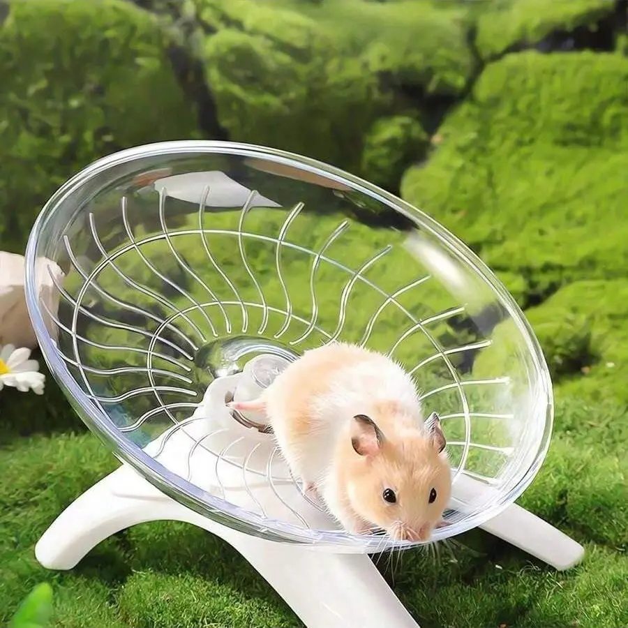 Quiet Exercise Wheel for Small Pets Like Hamsters, Mice, Hedgehogs, Parrots, Durable Pet Toy, Fun Indoor Activity Center, Hamster Running Wheel