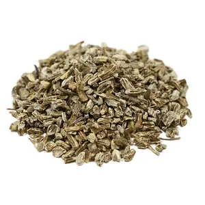 Stay Healthy All Year Round - Echinacea Root Tea - Fitness