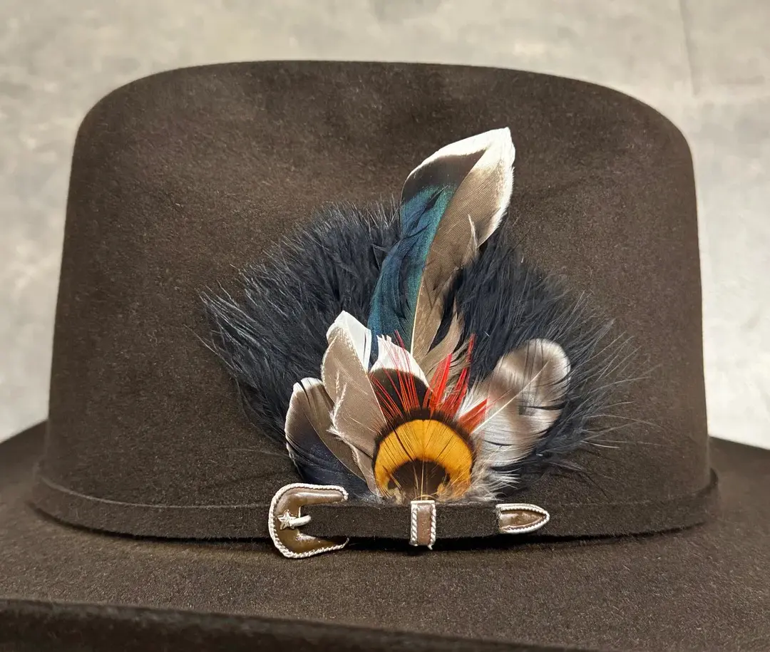ORIGINAL STETSON FEATHER (PACK OF 2) (MULTI-COLORES)