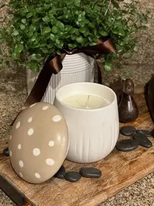 Bella Apothecary Soy Wax Candle - Forest Rain & Earthy Calm/ 12oz