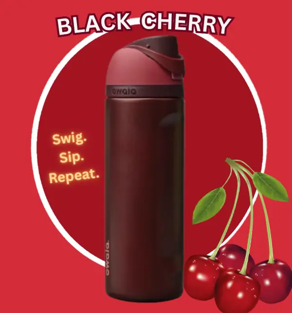 Owala FreeSip Insulated Stainless Steel Water Bottle 24 Oz Black