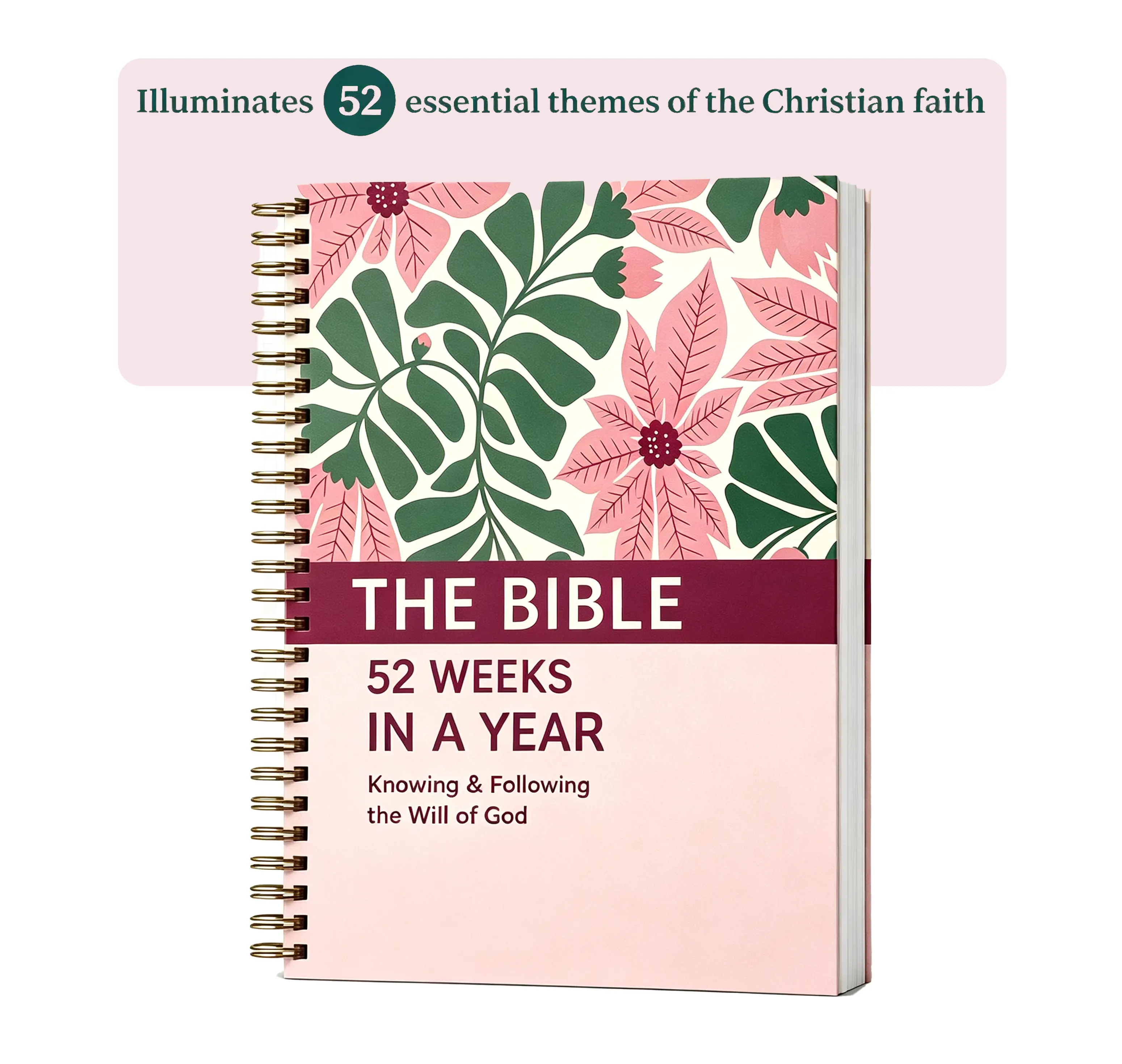 The Bible In A Year: 52-Week Guided Journey Through God's Word, English Book for Spiritual Study (Religion & Philosophy, Humanities & Social Sciences)