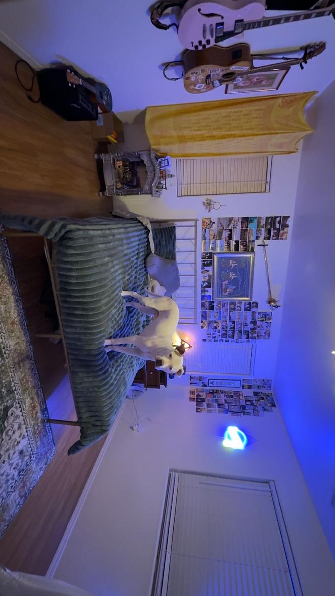 Item: Green, Full/Queen