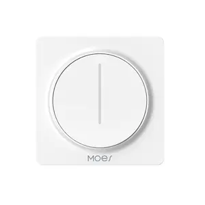 Tuya Smart Home Stepless Dimming Smart Switch APP Voice Control European-style Knob Switch