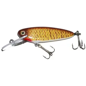 B&N Custom 4.5" Rippin Minnow Crankbait