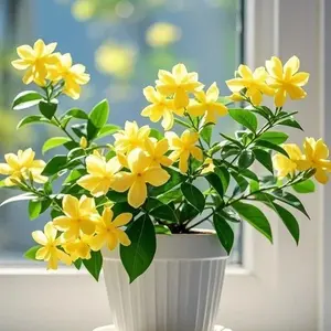 100Pcs Yellow Jasmine Seeds – Bright Bloom Flower Seeds for Garden & Outdoor Planting (Seeds Only, Not Live Plants)