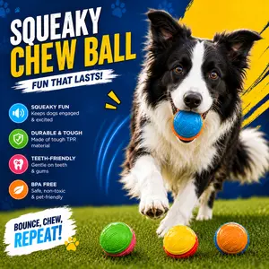 Interactive Squeaky Dog Ball – Durable Chew Toy for Aggressive Chewers, Bounce Training Ball for Small Medium Large Dogs outdoorfun
