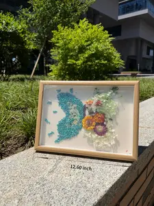 Kelsey(10654)gc.Crystal butterfly frame
