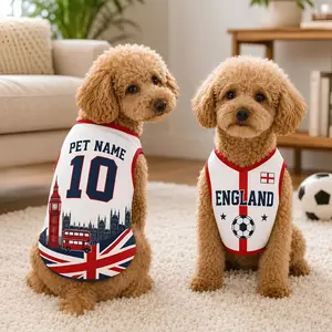 Personalized England Pet Jersey Custom Name & Number Breathable Soccer Dog Shirt