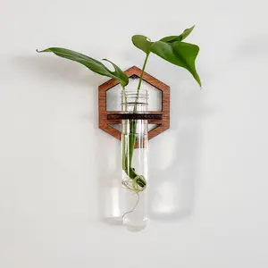 Hexagon Cutout Wall Propagation Station - Test Tube Planter