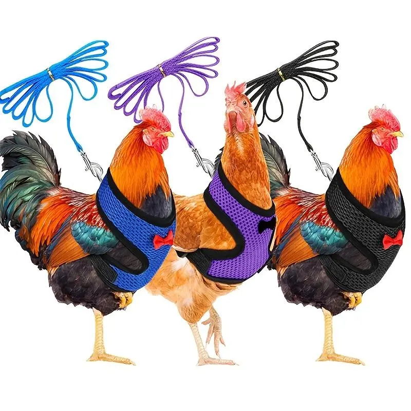 Breathable Adjustable Chicken Harness Carrier Supplies with Leash for Poultry Pets, Ideal for Ducks Geese and Chickens, Comfortable and Secure Fit, Outdoor