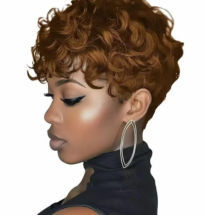 Sherawe 6-In Brown Human Hair Pixie Cut Wig, 12A Curly Texture, 180% Density, 22.5-In Medium Cap Full Machine Wig for Summer Fashion Accessories, Wigs Real Hair Wig Curly Wigs