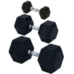 Rubber Encased Solid Hex Dumbbell - 60 lbs