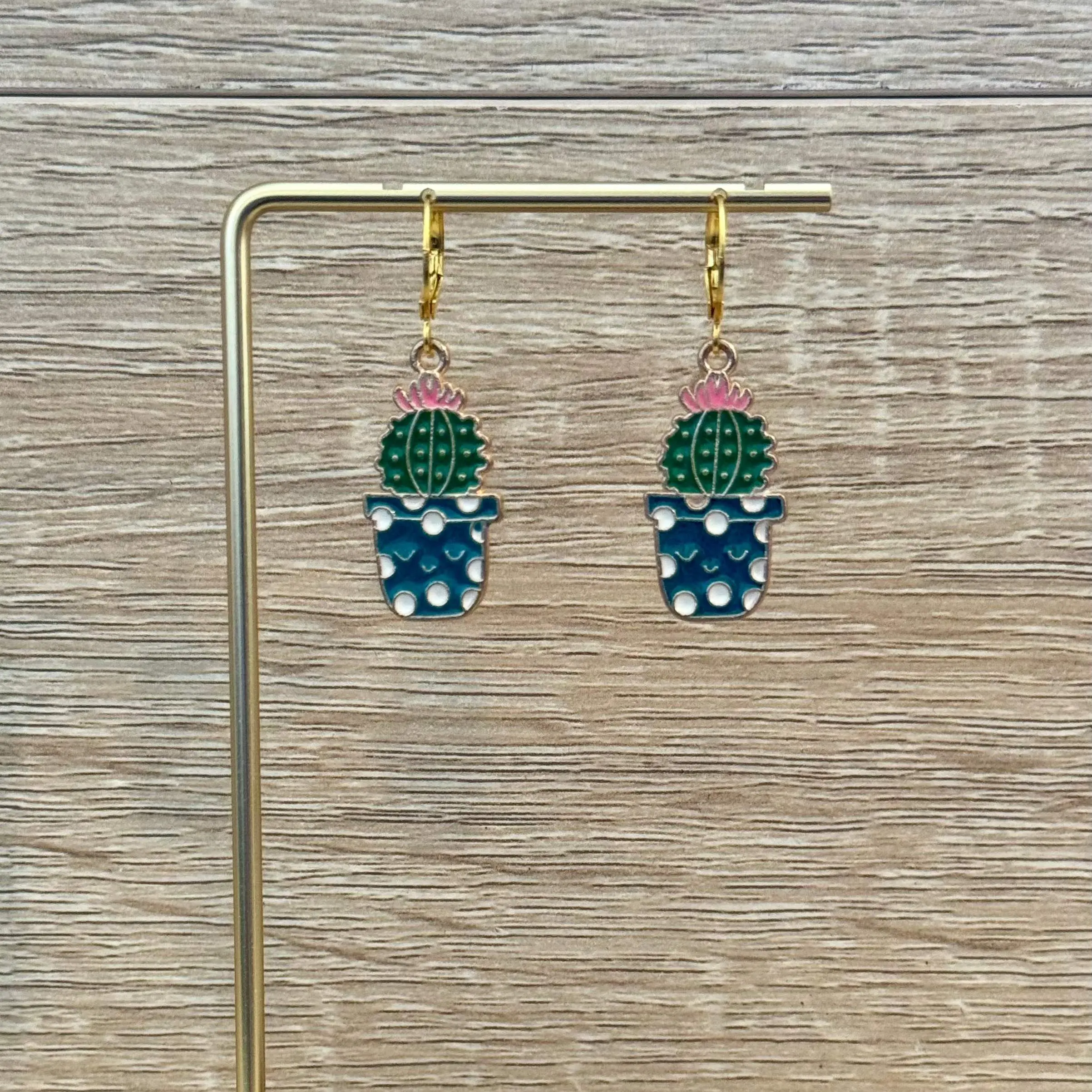 Hedgehog Cacti Bobs