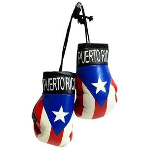 Boxing Gloves for Cars ( Choose your Country )