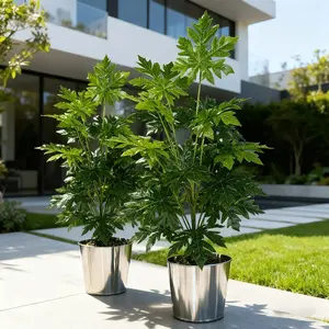 115cm High Realistic Papaya Tree, Ultra-Real Leaves, No Maintenance, Evergreen, Vibrant Tropical Plants, Ideal for Home Decor, Office Display, Brand Exhibits, Indoor/outdoor Use, Potted Indoor Plants