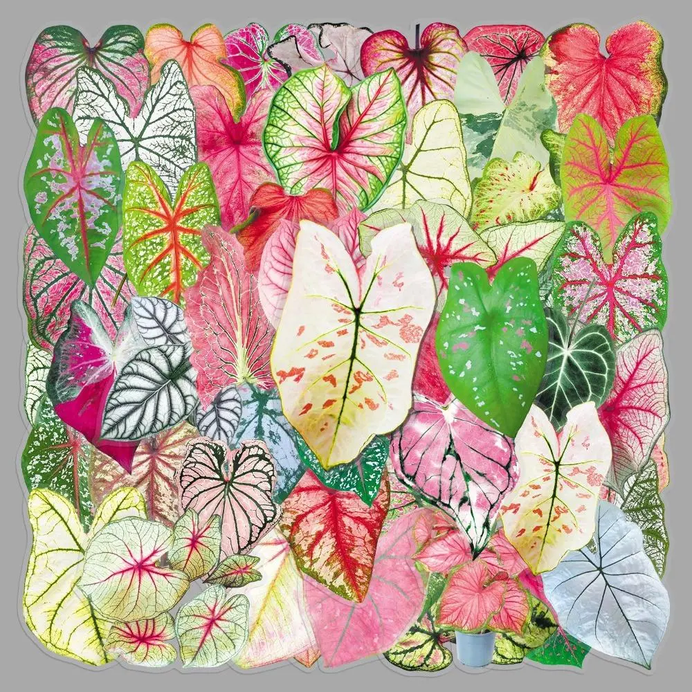 50Pcs Green Plant Leaves Cartoon Stickers Colorful Caladium Aesthetic Hand Account Transparent Decoration Scrapbooking Supplies
