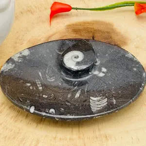 Orthoceras Bowl | Fossil Bowl for Incense and Crystals | Cleansing Bowl | Orthoceras Healing Crystal Plate | 5 inch
