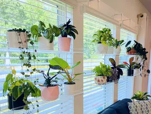 Window Plant Shelf | Hanging Shelf | Acrylic Plant Shelves | Plant Stand