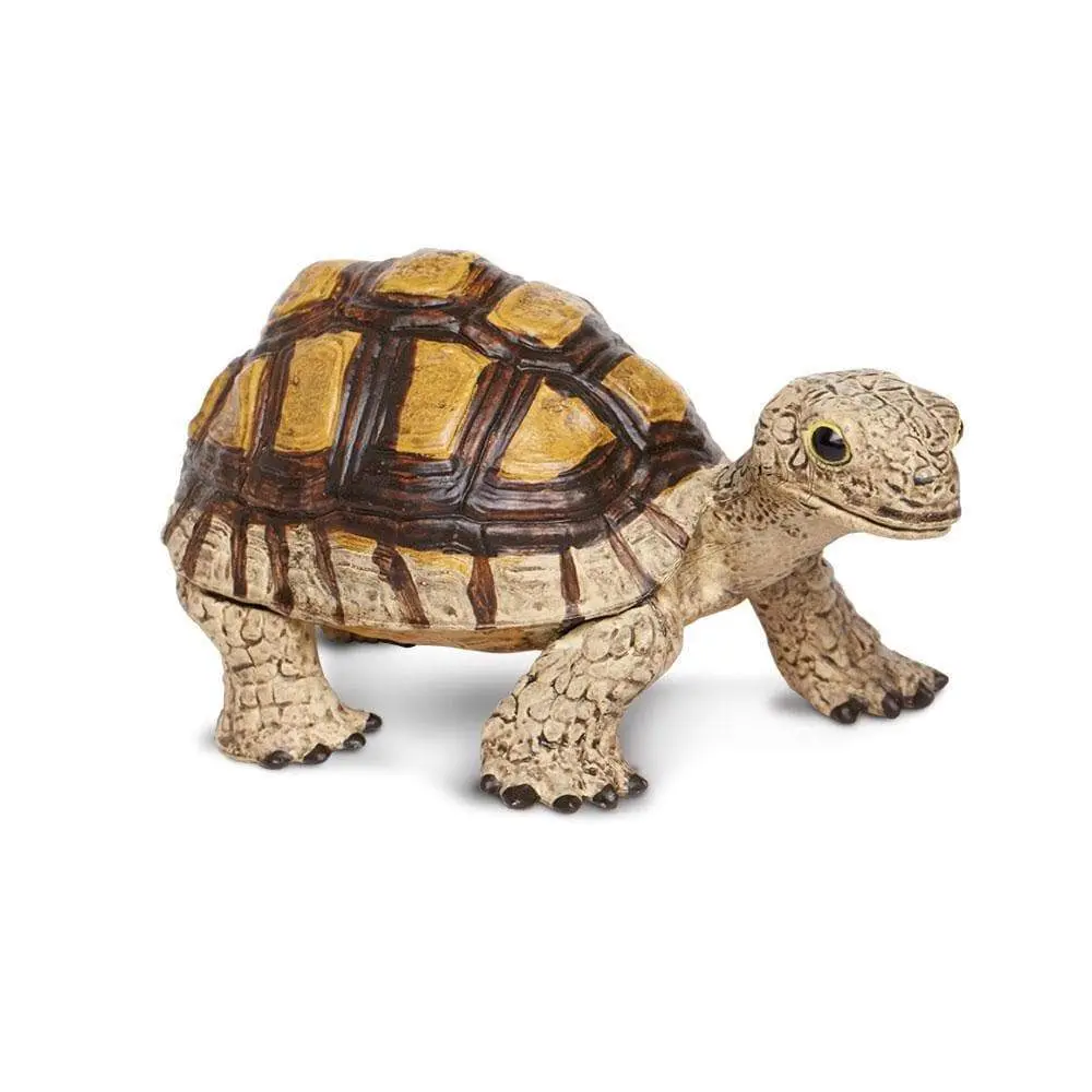Tortoise Toy Tortoise Toy