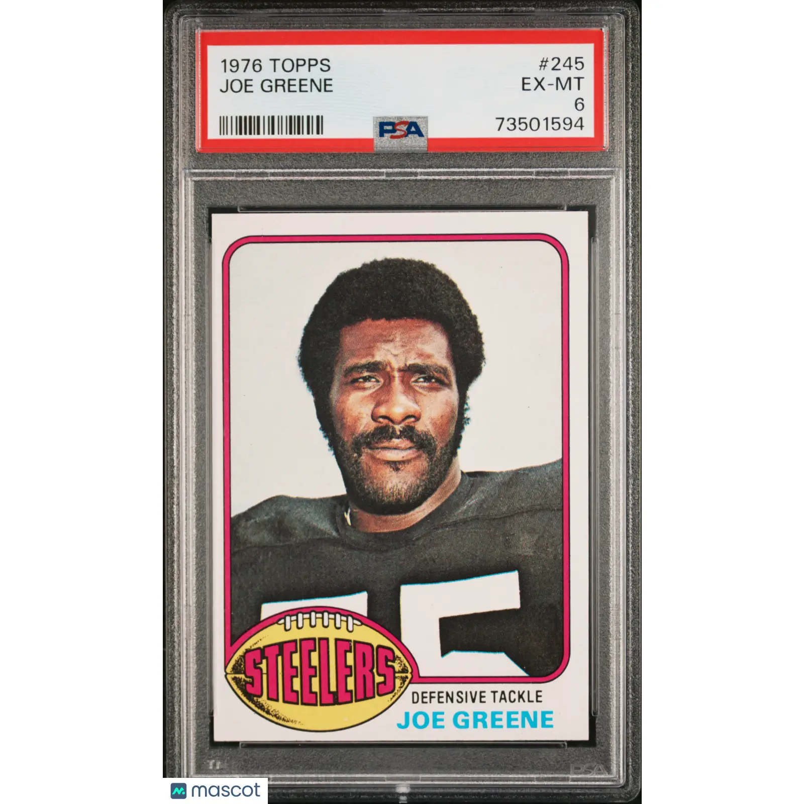 Joe Greene PSA 1976 Topps Football #245 6 73501594