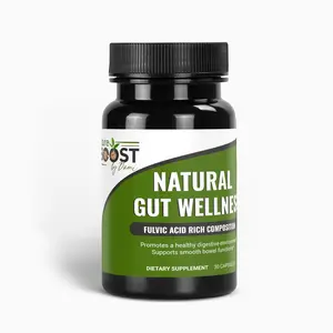 Natural Gut Wellness Capsules for Optimum Health - Healthcare Dietary Supplement