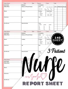 3 Patient Nurse Report Sheet: W/ Hourly Rounding, Med Surg Nurse Brain Sheet Multi Patient ICU Nursing Handoff Report Sheets